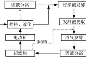 利用電滲析處理厭氧消化液來生產(chǎn)檸檬酸的方法