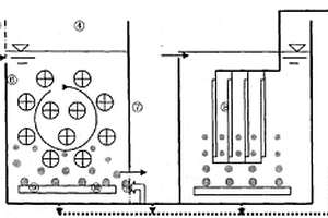 載體流化態(tài)平板膜生物反應(yīng)器