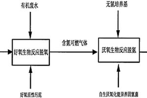 可燃氣體脫氧、脫氮的生物處理方法