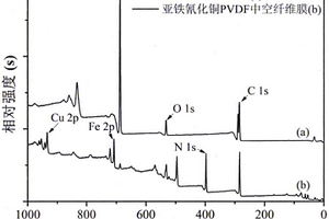 在PVDF中空纖維膜上固定亞鐵氰化銅的方法