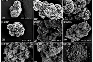 添加外源晶種介導(dǎo)施氏礦物的生物合成方法及其產(chǎn)物與應(yīng)用