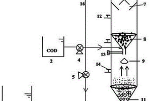 自養(yǎng)-異養(yǎng)反硝化一體化脫氮裝置及方法