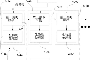 具有環(huán)路反應(yīng)器的共生藻類系統(tǒng)