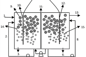 A/O型雙生物室電化學(xué)膜生物反應(yīng)器以及應(yīng)用該反應(yīng)器處理污水的方法