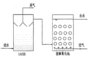 城市污水生物處理工藝路線