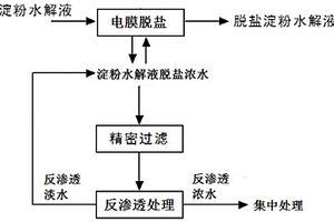 淀粉水解液脫鹽濃水的處理方法