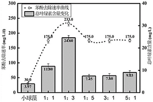 藻菌共培養(yǎng)去除苯酚和促進(jìn)小球藻生長(zhǎng)的方法