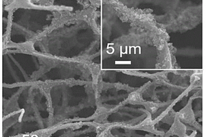 聚苯胺氮摻雜碳泡沫、制備方法和應(yīng)用