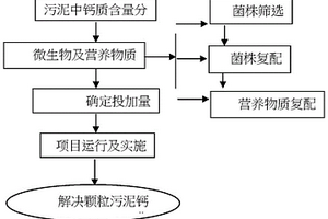 采用微生物酶及營養(yǎng)物質(zhì)解決顆粒污泥鈣化的方法