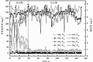強化單級自養(yǎng)脫氮性能的方法