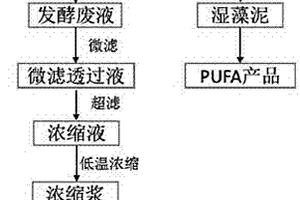 采用產(chǎn)PUFA的微藻發(fā)酵廢液制備胞外多糖的方法及其應(yīng)用