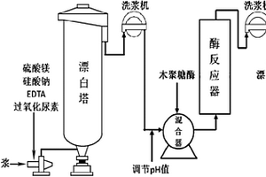 化學機械漿清潔漂白的方法