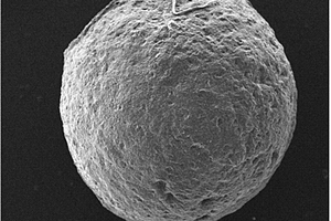 磁性殼聚糖生物固定化顆粒的制備與應用方法