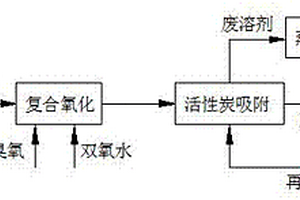 用于反滲透濃水有機(jī)物去除工藝