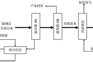 廢鹽綜合利用的處理方法