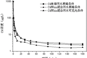 陰離子粘土吸附劑及其制備方法和應(yīng)用