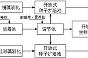 利用復(fù)合微藻高效凈化豬場沼液的方法