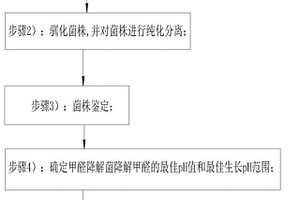 利用皮式不動桿菌降解甲醛的方法