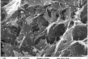 用于活化過(guò)硫酸鹽的Co<sub>3</sub>O<sub>4</sub>/三維氮摻雜石墨烯水凝膠催化劑及其制備和使用方法