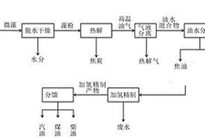 微藻全組分熱解聯(lián)產(chǎn)汽油、煤油和柴油的系統(tǒng)及其方法