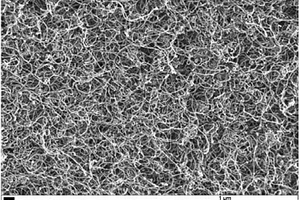 碳納米復(fù)合材料及其制備方法