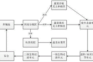 魚(yú)菜共生循環(huán)系統(tǒng)及其使用和控制方法