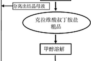 從結(jié)晶母液中回收克拉維酸叔丁胺鹽的方法