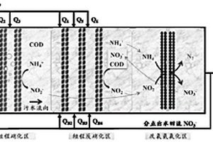 分點進水-可拼接生物膜模塊式高效脫氮工藝