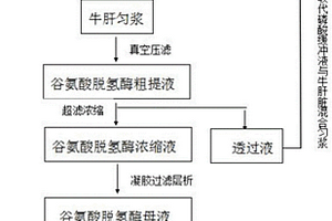 從牛肝臟中提取谷氨酸脫氫酶的方法