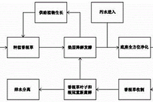 香根草污水凈化系統(tǒng)及其方法