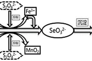 用于濕法煙氣脫硫系統(tǒng)的硒原位脫除方法及裝置