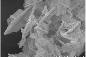 核殼結(jié)構(gòu)BiO<sub>2-x</sub>@TiO<sub>2</sub>異質(zhì)結(jié)光催化材料及其制備方法與應(yīng)用