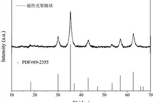 利用磁性殼聚糖凝膠球固定化厭氧鐵氨氧化菌的方法