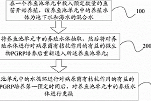 養(yǎng)魚系統(tǒng)及養(yǎng)魚養(yǎng)殖水體處理方法