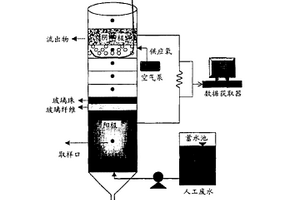 無膜和無介體的微生物燃料電池