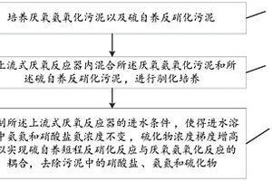 硫自養(yǎng)短程反硝化耦合厭氧氨氧化的脫氨方法和系統(tǒng)