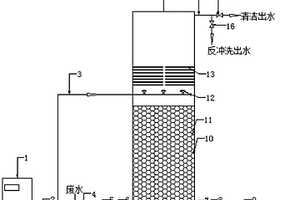 臭氧催化氧化反應(yīng)器及其污水處理方法