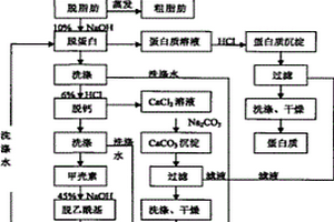 從蝦殼中綜合制備生物活性物質(zhì)的環(huán)保方法