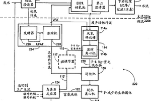 廢棄活性污泥磷和鎂脫除方法和鳥糞石生產(chǎn)系統(tǒng)