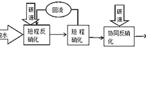 采用超級短程硝化反硝化進(jìn)行生物脫氮的方法