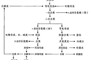 結(jié)合轉(zhuǎn)晶的谷氨酸閉路循環(huán)提取工藝