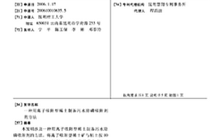 用離子吸附型稀土制備污水除磷吸附劑的方法