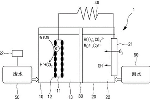 具有去除多價離子的功能的生物電化學系統(tǒng)