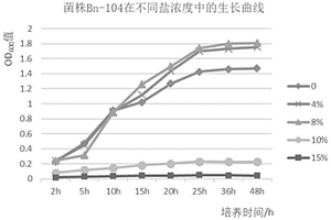 一株硝酸鹽還原菌、培養(yǎng)方法及應(yīng)用