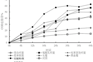 用于降解廚余垃圾有機(jī)廢液的微生物菌劑、制備方法及其應(yīng)用