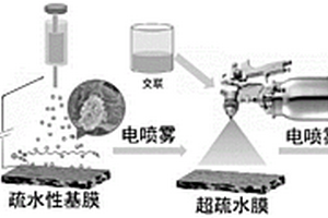 超疏水超疏油膜及其制備方法