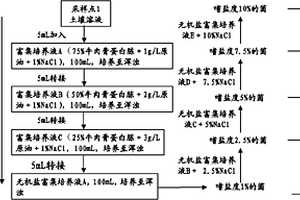 石油污染土壤生物修復(fù)菌劑的篩選及修復(fù)方法