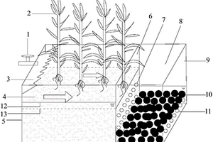 蘆葦濕地與復(fù)合多孔介質(zhì)球的聯(lián)合凈化系統(tǒng)及構(gòu)建方法與應(yīng)用