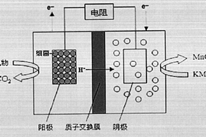 高錳酸鉀作陰極電子受體構建雙室微生物燃料電池型BOD傳感器的方法