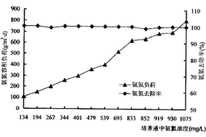 活性污泥中高效硝化細菌的富集方法